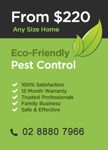 Eco Pest Control Sydney packages