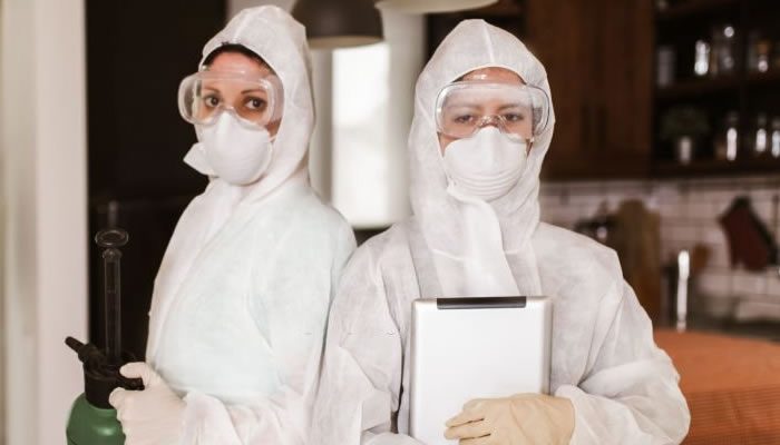 Bed Bugs Control Quote