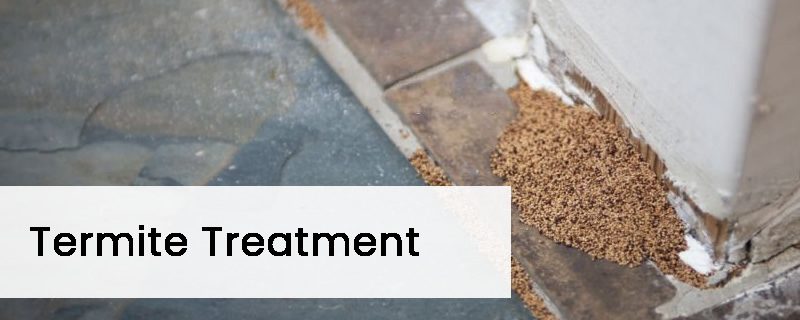 Chemical Termite Barrier Treatment