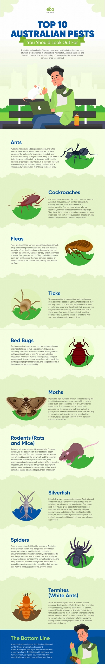 Top 10 Australian Pests You Should Look Out For